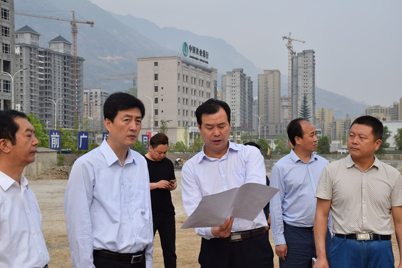 李東新調研市龍江公司項目建設工作