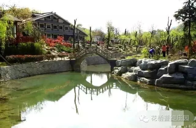 這個(gè)周末，隴南康縣花橋有大事要發(fā)生？