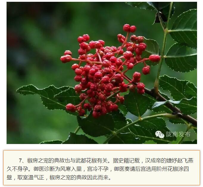 蘭渝鐵路最早由孫中山先生提出？在隴南，你不知道的事兒還有……