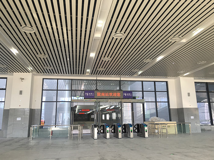 全國(guó)、省市政協(xié)委員體驗(yàn)蘭渝鐵路、視察階州廣場(chǎng)