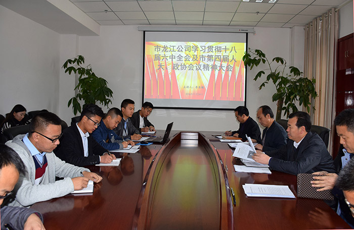 市龍江公司召開全體員工大會，專題傳達(dá)學(xué)習(xí)上級會議精神