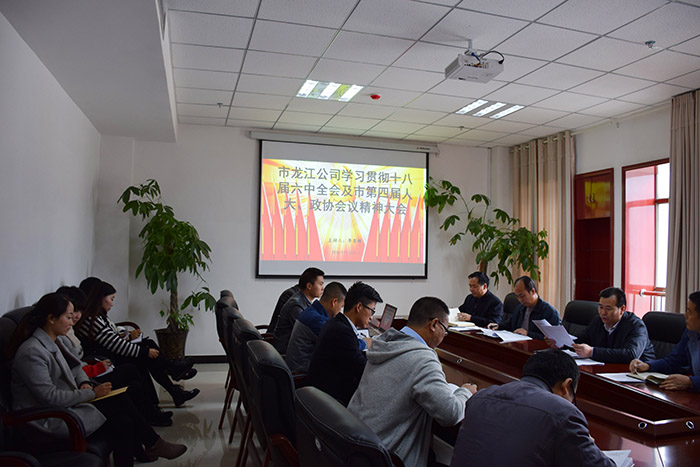 市龍江公司召開全體員工大會，專題傳達(dá)學(xué)習(xí)上級會議精神