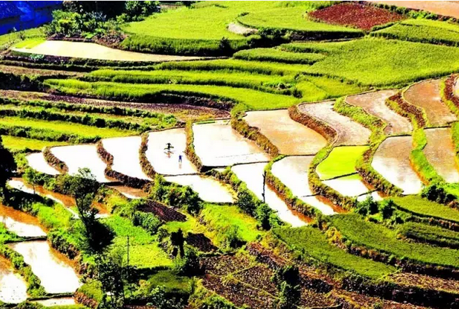 財(cái)政部 國(guó)務(wù)院扶貧辦發(fā)文進(jìn)一步推進(jìn)貧困縣統(tǒng)籌整合使用財(cái)政涉農(nóng)資金工作