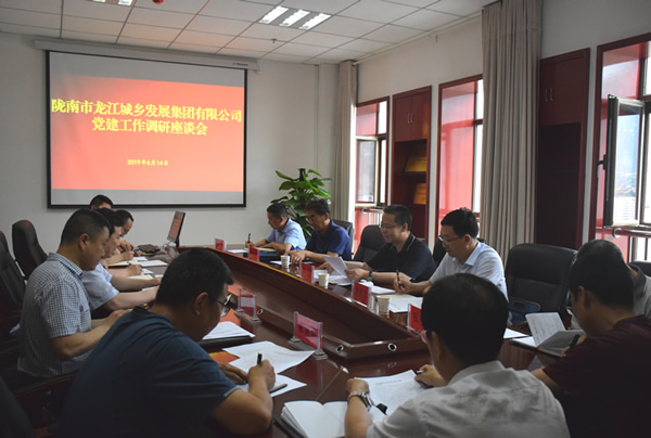 隴南市委常委、組織部部長(zhǎng)楊郃調(diào)研指導(dǎo)市龍江城鄉(xiāng)發(fā)展集團(tuán)公司黨建工作