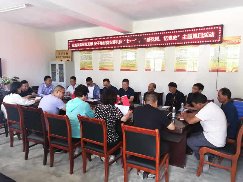 “感黨恩、憶黨史”，--市龍江城鄉(xiāng)發(fā)展集團公司開展慶祝建黨99周年主題黨日活動