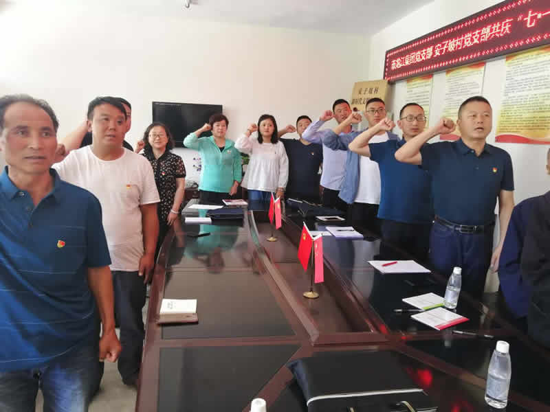 “感黨恩、憶黨史”，--市龍江城鄉(xiāng)發(fā)展集團公司開展慶祝建黨99周年主題黨日活動