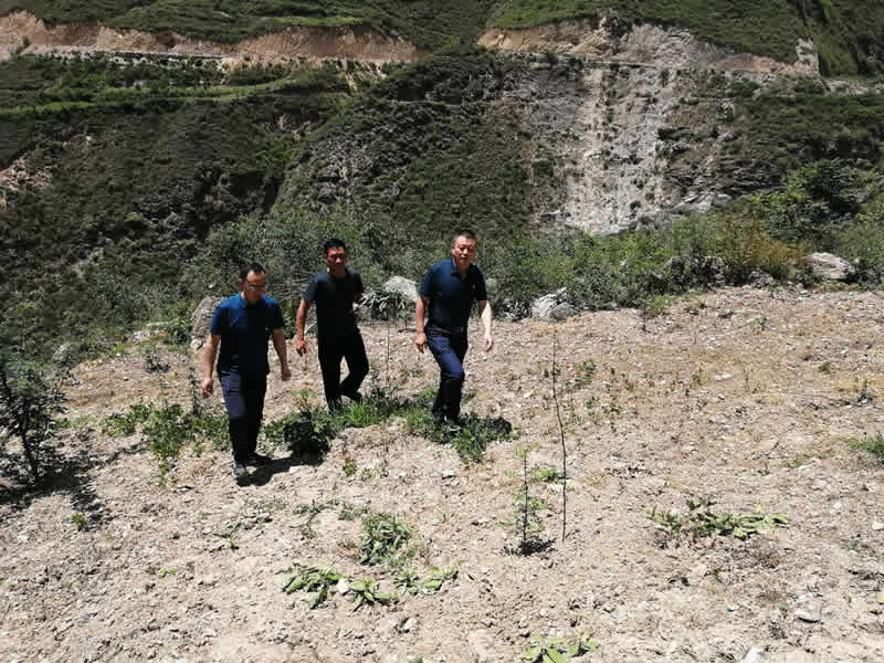 “感黨恩、憶黨史”，--市龍江城鄉(xiāng)發(fā)展集團公司開展慶祝建黨99周年主題黨日活動