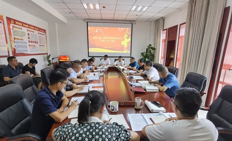 市龍江集團召開黨委(擴大)會議