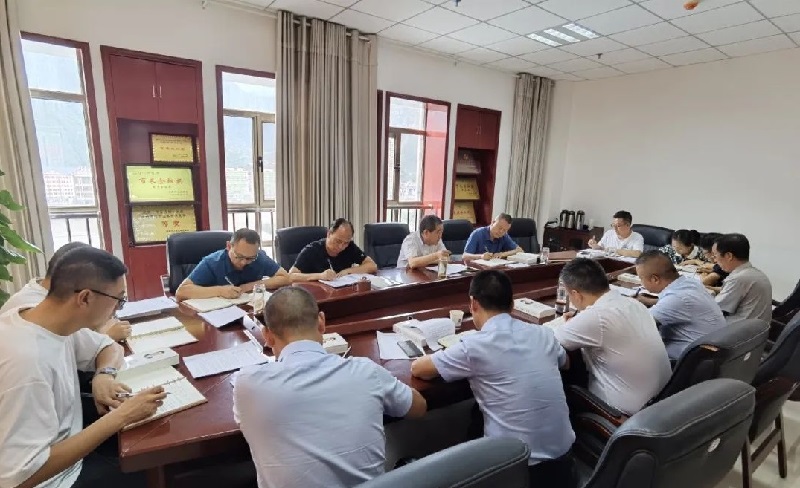 市龍江集團召開黨委(擴大)會議